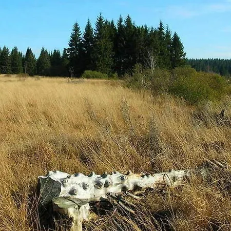 Шале With Valley Views,, Cleaning Included Мальмеди